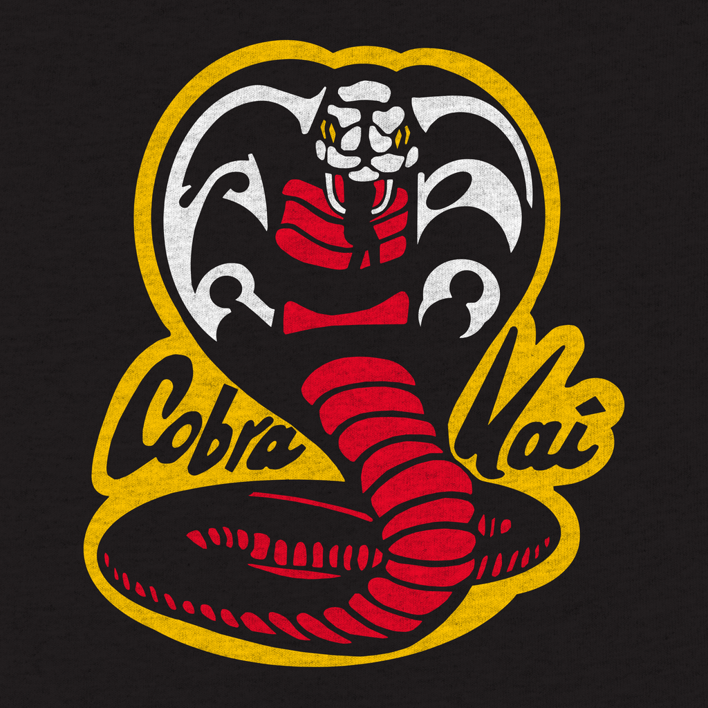 First Look Cobra Kai Season 2 3